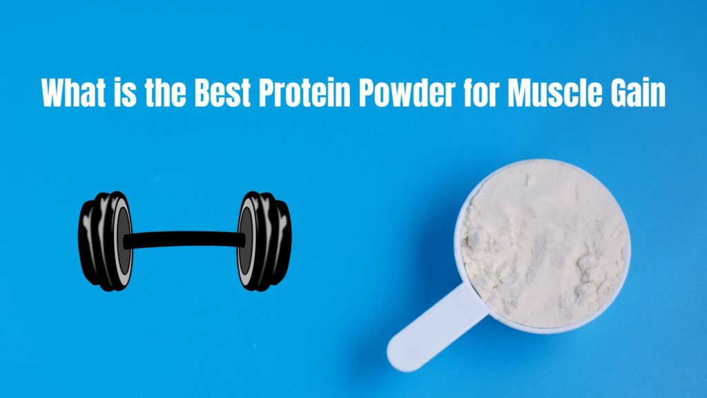 What is the Best Protein Powder for Muscle Gain