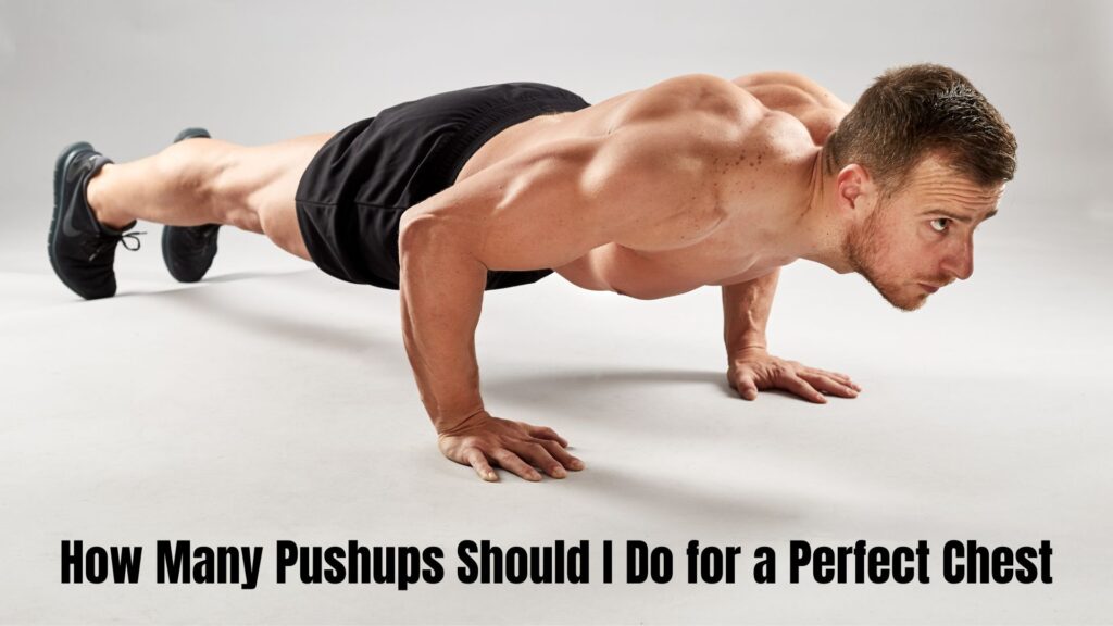 How Many Pushups Should I Do for a Perfect Chest