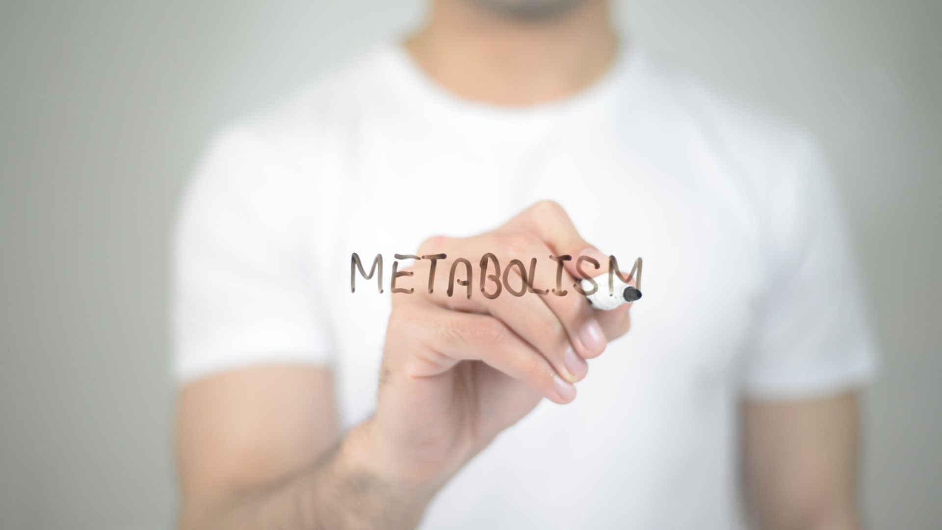 How long does exercise increase basal metabolism