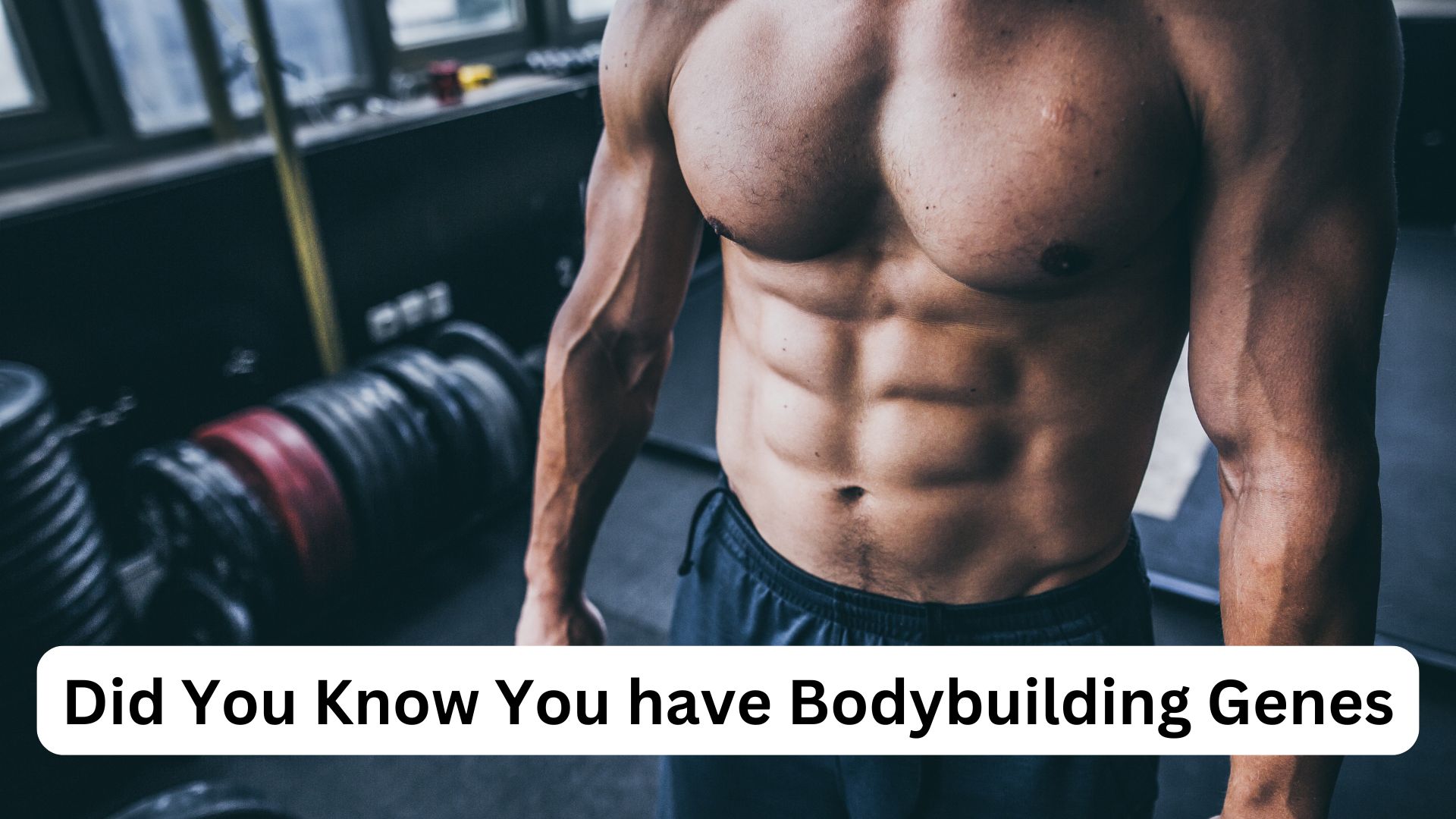 did you know you have bodybuilding genes
