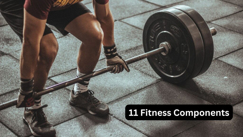 11 fitness components